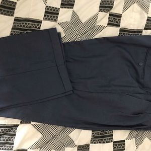 Size 46/34 blue Vinci pants